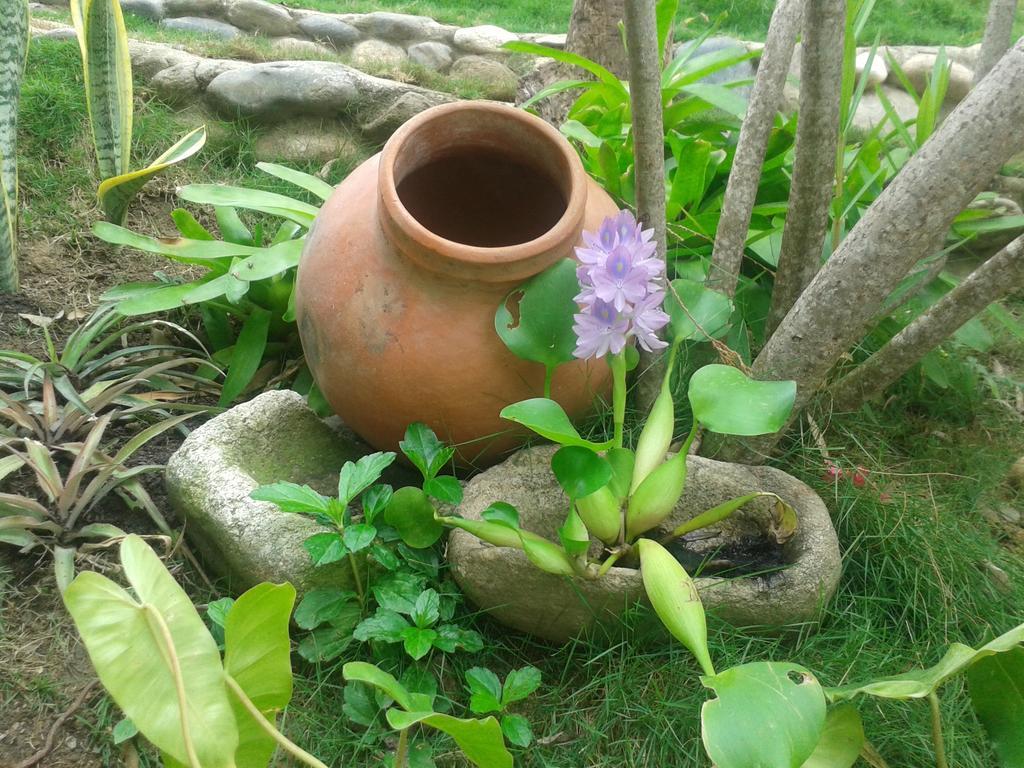 Posada Villa Margarita Los Naranjos Kültér fotó